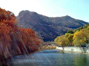 奥门天天开奖免费资料，山东硅藻土